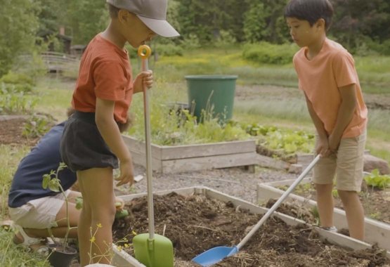 Bahçecilik, çocuk oyununa dönüşebilir